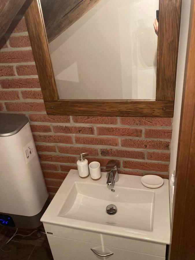 Apartmanový dům 13 Podkroví 1 Seč Exteriér fotografie