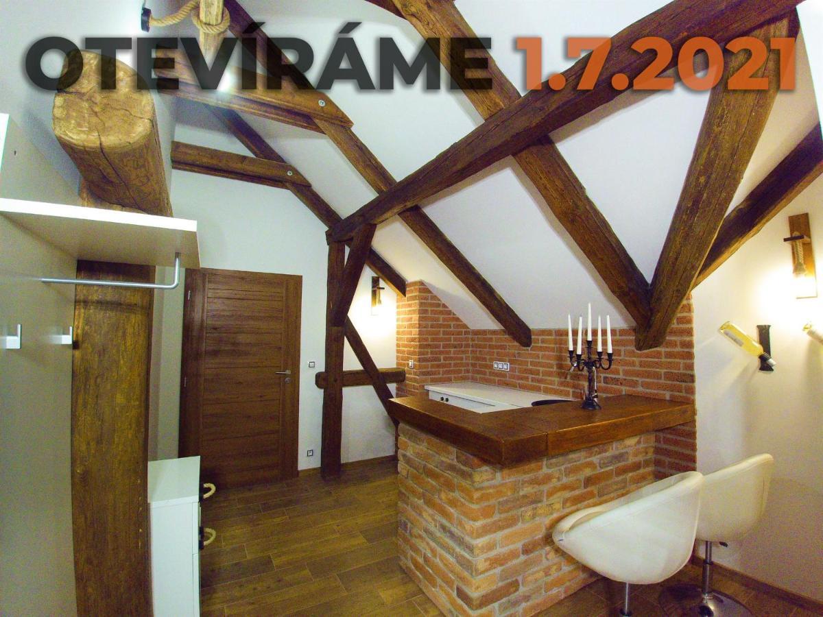 Apartmanový dům 13 Podkroví 1 Seč Exteriér fotografie